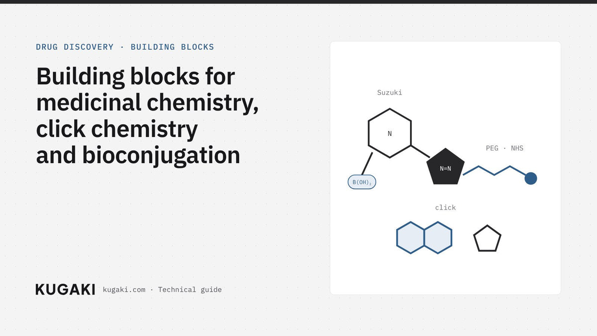 Building blocks for medicinal chemistry, click chemistry and bioconjugation – KUGAKI technical guide cover