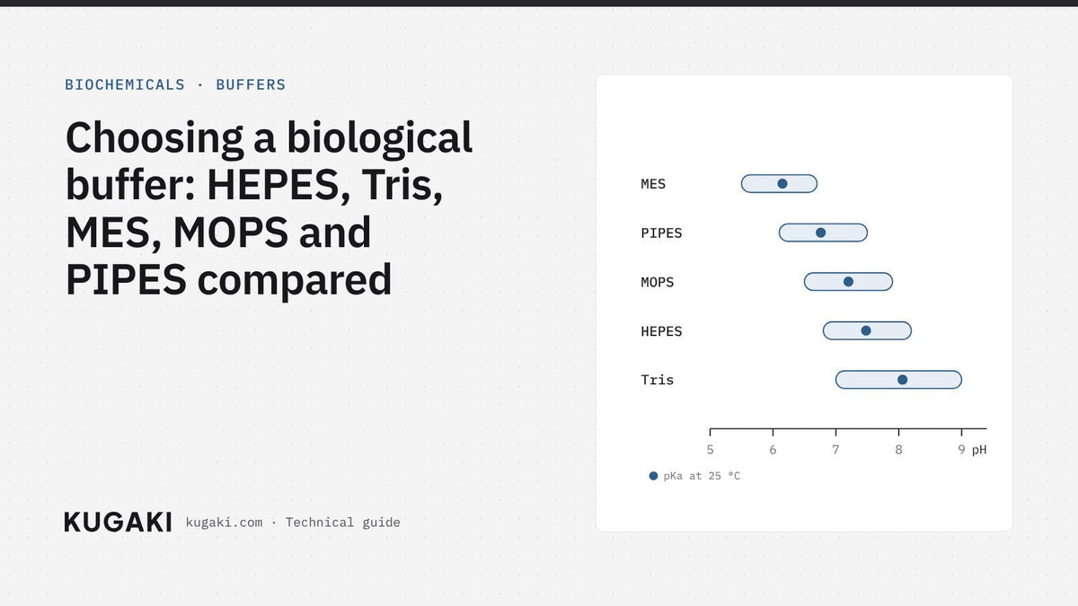 Choosing a biological buffer: HEPES, Tris, MES, MOPS and PIPES compared – KUGAKI technical guide cover