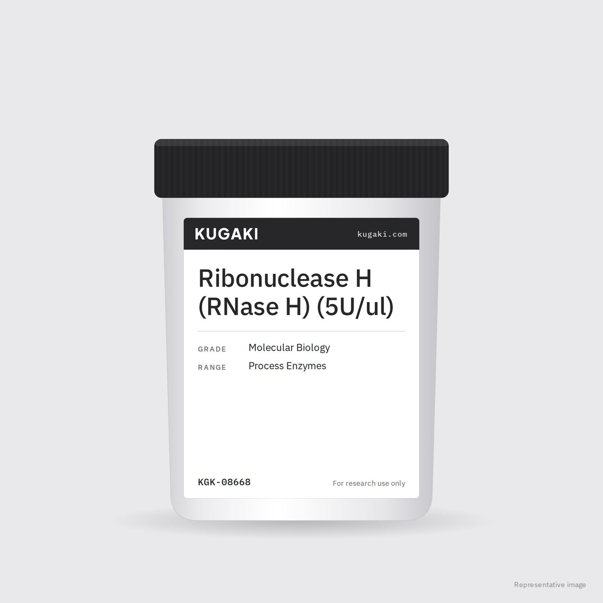 Ribonuclease H (RNase H) (5U/ul) – KUGAKI representative pack image